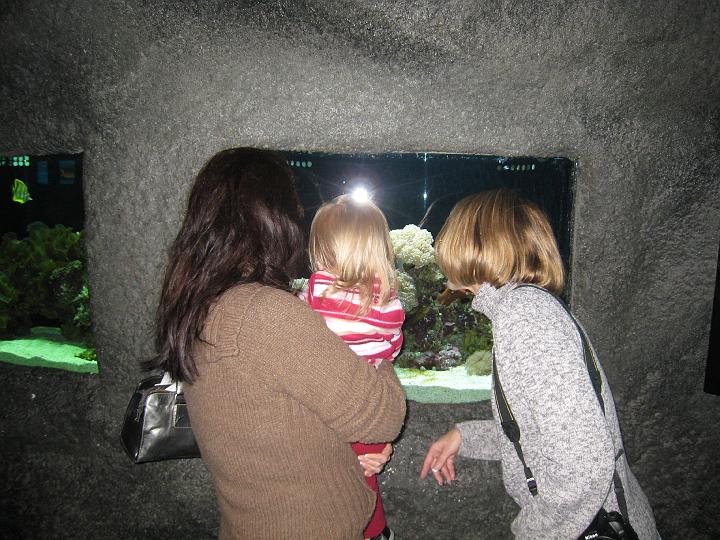 Seattle Aquarium 24.JPG